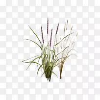 ��ݡ�����ݡ�«έ��ֲ�ﾥ-ֲ��-������