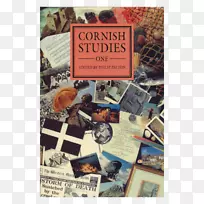 Studien zur t��in b��cuailnge����ʲ�о�ʮ�������ֶ��о���������ѧ-��ѧ-������