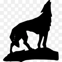 灰狼夹艺术-黑色安培-空若网 灰狼夹艺术-黑色安培-空若网