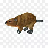 ���궯��ëƤ����-����԰���2-������