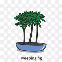 树花盆盆景树-空若网 树花盆盆景树-空若网