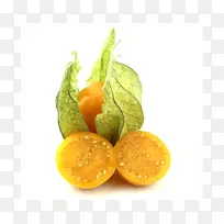 秘鲁地樱桃醋栗食品种子植物-植物-空若网 秘鲁地樱桃醋栗食品种子植物-植物-空若网