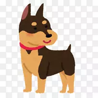 澳大利亚雪糕小狗迷你小羽杜伯曼犬品种-小狗-空若网 澳大利亚雪糕小狗迷你小羽杜伯曼犬品种-小狗-空若网