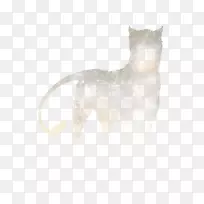 ���빷èë���ӹ�-������