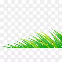 �ֻ��-������