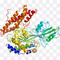 艺术身体珠宝有机体线剪贴画线-空若网 艺术身体珠宝有机体线剪贴画线-空若网