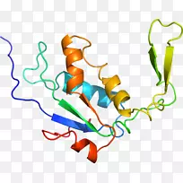 ������Ϊ�л����ߵ��������-������