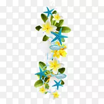 花瓣花卉植物花卉设计-美丽的蓝色花朵海星-空若网 花瓣花卉植物花卉设计-美丽的蓝色花朵海星-空若网