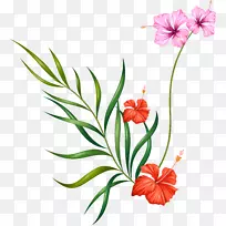 花卉设计插花艺术-花卉与绿叶-空若网 花卉设计插花艺术-花卉与绿叶-空若网