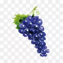 葡萄酒拉拔果品葡萄-空若网 葡萄酒拉拔果品葡萄-空若网
