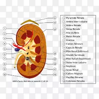 ����йϵͳ���������λ����-������