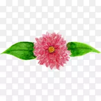 粉红色m近景开花植物一年生植物.水彩紫藤-空若网 粉红色m近景开花植物一年生植物.水彩紫藤-空若网