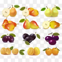 ˮ����ͼ.����ˮ�����������-������