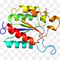 �ߵ������������-������