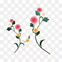 �ջ�����-��ݾջ�-������