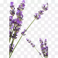 霍城县薰衣草花瓣香皂薰衣草花-空若网 霍城县薰衣草花瓣香皂薰衣草花-空若网