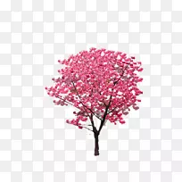 粉红色树枝图标-树-空若网 粉红色树枝图标-树-空若网