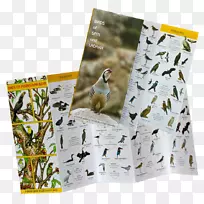 ����Ұ������-������