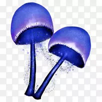 Ä¢¹½¹û¼ÐÒÕÊõ-Ä¢¹½-¿ÕÈôÍø Ä¢¹½¹û¼ÐÒÕÊõ-Ä¢¹½-¿ÕÈôÍø