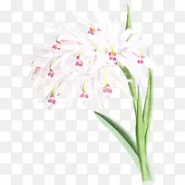 花卉设计切花风信子剪裁艺术兰叶-空若网 花卉设计切花风信子剪裁艺术兰叶-空若网