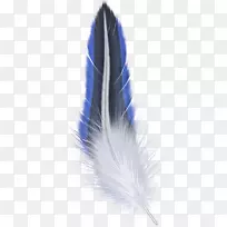 羽毛剪贴画-羽毛-空若网 羽毛剪贴画-羽毛-空若网