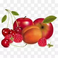 奥格里斯水果封装的后记-柚子-空若网 奥格里斯水果封装的后记-柚子-空若网