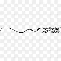 �����鱦��������-������