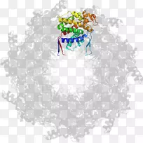 树字符剪贴画-树-空若网 树字符剪贴画-树-空若网