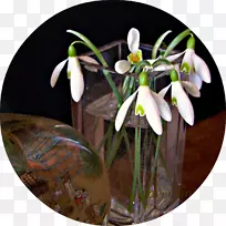 花卉设计-空若网 花卉设计-空若网