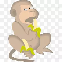 �㽶��װ��Ƕ���������-�㽶-������