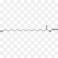 线白色字体-脂肪酸-空若网 线白色字体-脂肪酸-空若网