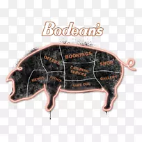 昆虫-空若网 昆虫-空若网