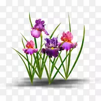 ���ܲ��ͼ�����-��Ĥ��-������