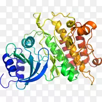 艺术植物有机体剪贴画-蔬菜-空若网 艺术植物有机体剪贴画-蔬菜-空若网