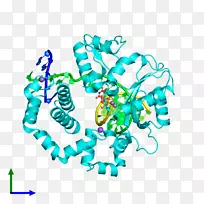 艺术身体珠宝有机体线剪贴画线-空若网 艺术身体珠宝有机体线剪贴画线-空若网