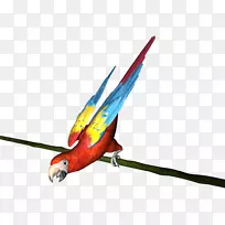 ��������Z�������ƶ�������ë-������