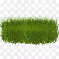 ���زݼ�����-������-������