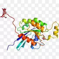 �ߵ������������-������