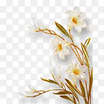 花卉设计花卉植物-空若网 花卉设计花卉植物-空若网