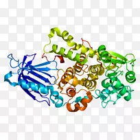 人体首饰有机体线剪贴画线-空若网 人体首饰有机体线剪贴画线-空若网