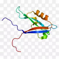 线点生物剪贴画线-空若网 线点生物剪贴画线-空若网