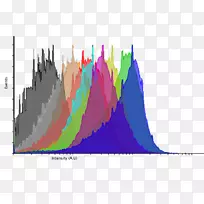 图形设计字体设计-空若网 图形设计字体设计-空若网
