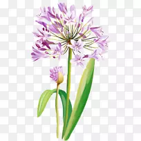 水彩画切花-空若网 水彩画切花-空若网