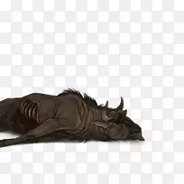 野生动物-角马-空若网 野生动物-角马-空若网