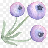 仙人掌水彩画.墨水手绘仙女浆果植物-空若网 仙人掌水彩画.墨水手绘仙女浆果植物-空若网