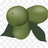 ˮ��������߲���ɫ��魹�-������