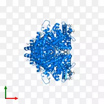 �ߵ�������-������