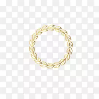 黄身穿孔首饰图案-橄榄枝-空若网 黄身穿孔首饰图案-橄榄枝-空若网