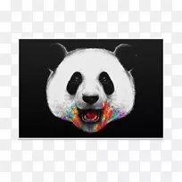 ����è�ܺ���è��ˮ�ʻ�-��-������