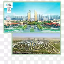 迪拜科学园迪拜保健城-科学-空若网 迪拜科学园迪拜保健城-科学-空若网